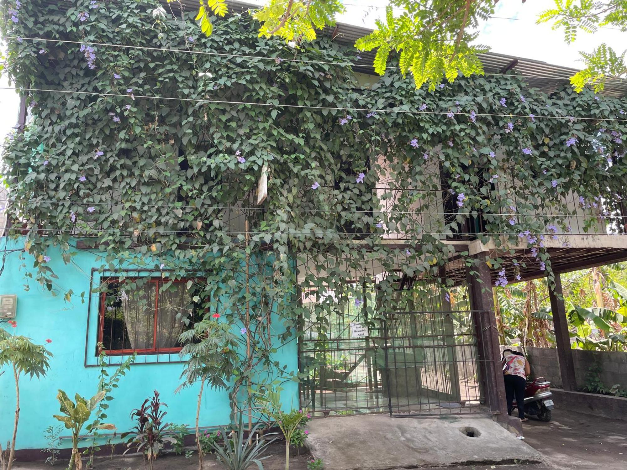 Hostal Isla Natal Moyogalpa Exterior photo